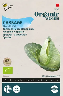 Produktbild von Weißer Spitzkohl Filderkraut | Spitzkohlsamen von Buzzy Seeds