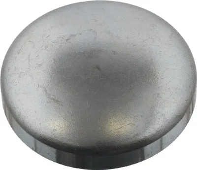 Image de FEBI BILSTEIN Bouchon antigel Article : 31794