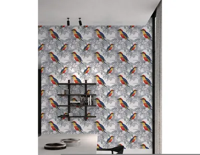 Produktbild von Coloray Fototapete 250x250 cm Vlies-Fototapete - Vögel