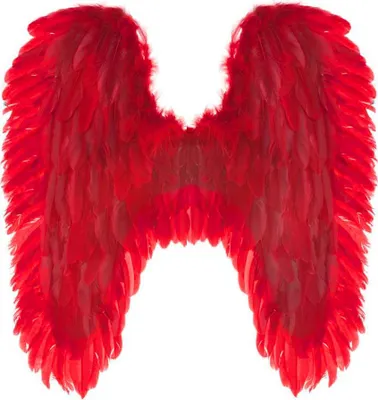 Produktbild von Engelsflügel 70 x 65 cm | Federn Rot