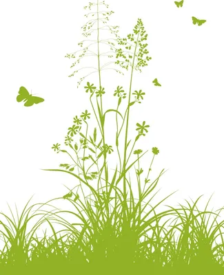 Produktbild von Wallario Sticker / Aufkleber für Kühlschrank / Geschirrspüler / Küchenschränke, selbstklebende Folie - 60 x 80 cm, Motiv: Grüne Sommerwiese