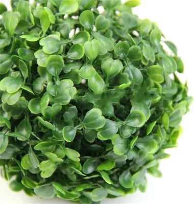 Image de Boule de Plastique Verte Décoration Maison Extérieure Décoration Mariage Fête Plantes Boule d'Herbe