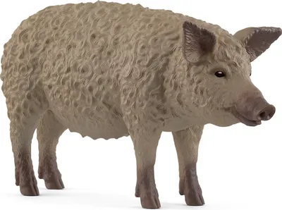 Produktbild von Schleich Farm World Wollschwein