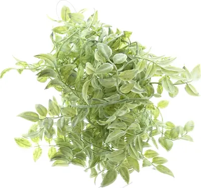 Produktbild von DPI Philodendron Blattgirlande Grün & Weiß 165 cm - Kunstblumen