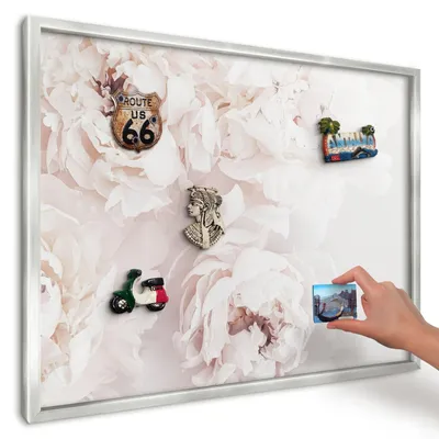 Produktbild von Magnettafel 70x50 cm in einem silbernen Rahmen - Magnetische Metalltafel, Magnetpinnwand zur Wandmontage für Wohnzimmer, Küche, Flur, Kinderzimmer und Büro - Weiße Pfingstrosen