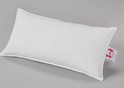 Canada Premium Kopfkissen Medium 40x80cm 30% Daunen 100% Baumwolle weiß
