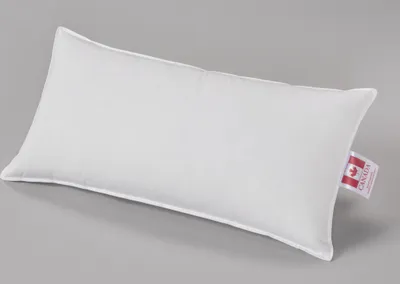 Produktbild von Canada Premium Kopfkissen Medium 40x80cm 30% Daunen 100% Baumwolle weiß