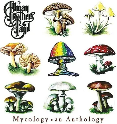 Produktbild von Mycology: An Anthology