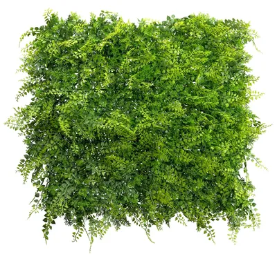 Produktbild von Künstliche Farnmatte, 50x50cm. Wandbegrünung Farn