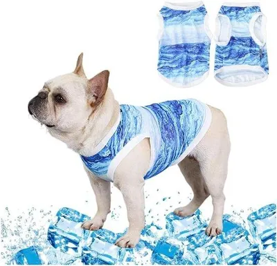 Produktbild von Famanu Kühlweste für Hunde, Leichte Kühlweste für kleine bis mittelgroße Hunde, Blau, Größe M