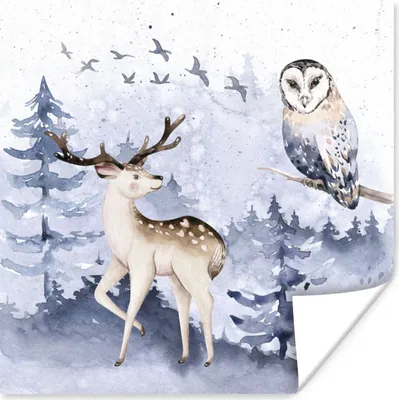 Produktbild von MuchoWow® Poster Winter - Rotwild - Eule 50x50 cm - Wohnzimmerdekoration