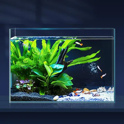 Immagine prodotto di SolidKeus - Acquario da 10 litri con retino per pesci e sifone per il cambio dell'acqua
