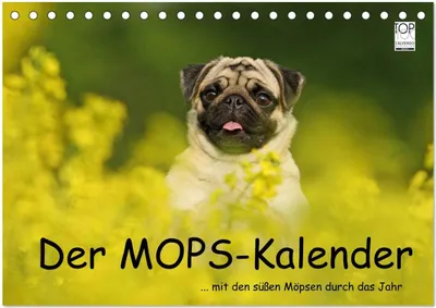 Produktbild von Der MOPS-Kalender (Tischkalender 2026 DIN A5 quer), CALVENDO Monatskalender