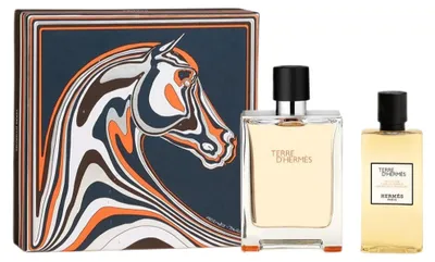 Immagine prodotto di Hermes Terre D'Hermes Set regalo Eau de Toilette 100 ml/Gel doccia 80 ml