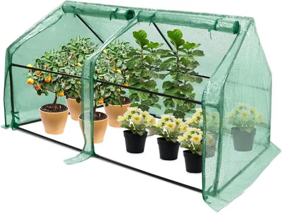 Produktbild von Mini-Gewächshaus - Folientunnel-Gewächshaus - Pflanzenanbau - Aufrollbare Türen - 180 x 90 x 90 cm - Grün
