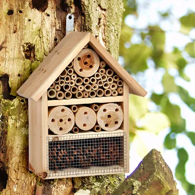 Produktbild von Insektenhotel mit 3 Stockwerken - Tannenholz, Bambus - 25 x 10 x 30cm - Wandaufhängung
