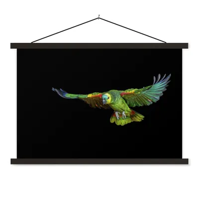 Produktbild von MuchoWow® Textilposter Papagei - Vogel - Federn 60x40 cm mit schwarzem Rahmen - Hölzernes