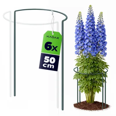 Produktbild von KADAX Pflanzenstütze 50 cm Höhe 6 Stück, Staudenstütze aus pulverbeschichtetem Stahl, Pflanzenhalter für Stauden, Pfingstrosen & Hortensien (Halbrund)