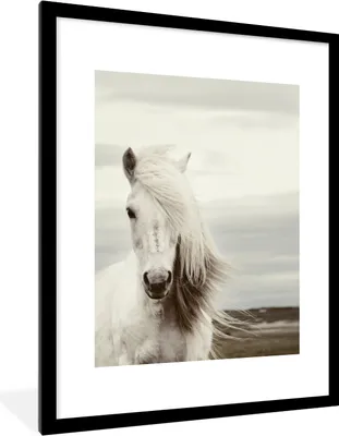 Produktbild von MuchoWow® Gerahmtes Poster Pferd - Strand - Mähne 60x80 cm - Poster mit Schwarzem Bilderrahmen Wandposter Rahmen Foto Bilder - Wohnzimmer - Dekorationen - Prämie