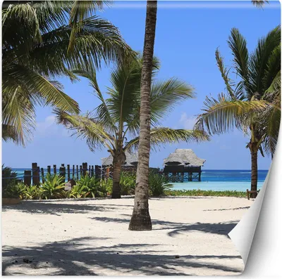 Produktbild von Vlies fototapete Tropischer Strand Palmen Natur 150x150 cm Feeby Blau inkl. Kleber einfache Montage