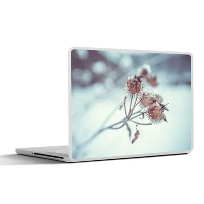 Produktbild von MuchoWow® Laptop Aufkleber Sticker Cover Pflanzen - Winter - Schnee - Natur 32.5x23.5 cm - Sticker für Laptop - Selbstklebend