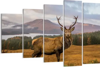 Produktbild von Bild auf Leinwand - Leinwandbild - 5 Teile - Rehe Wiese Berge - 150x100cm - Wand Bild - Wanddeko - Wandbilder - Leinwanddruck - Bilder - Wanddekoration - Leinwand bilder - Wandbild - EG150x100-4231
