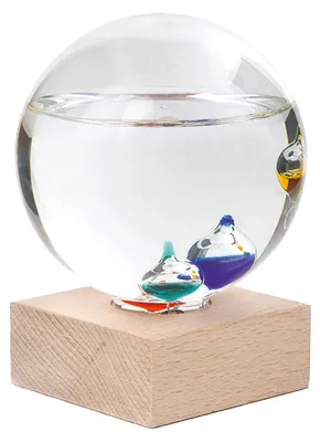 Immagine prodotto di Termometro Galileo