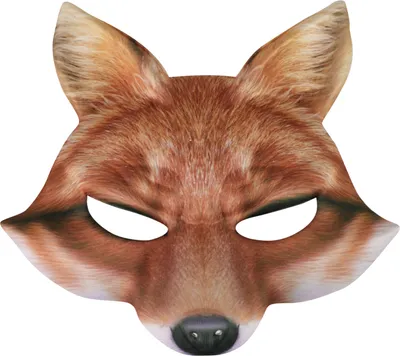 Image de Masque Textile Renard