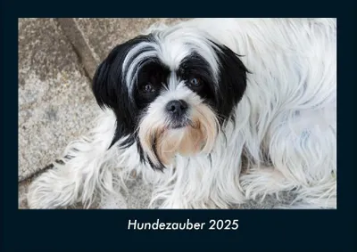 Produktbild von Hundezauber 2025 Fotokalender DIN A4