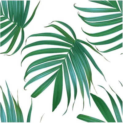 Produktbild von Tapeteneffekt-Aufkleber – Palmenblätter – 60 x 60 cm