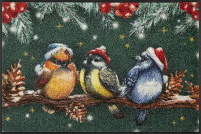 Produktbild von wash+dry Schmutzfangmatte Magic Birds - 50 x 75 cm