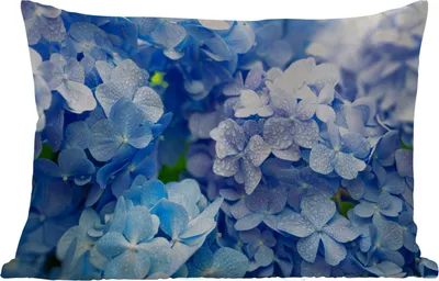Produktbild von MuchoWow® Outdoor Kissen - Hortensie - Wassertropfen - Floral - Botanisch - Blau - 60x40 cm - Wetterfest - Lounge Kissen - Zierkissen - Kissen für Innenräume