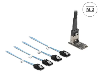 Immagine prodotto di DELOCK M.2 2242 Key B+M Kontroller zu 4 x SATA mit 1 m Kabel