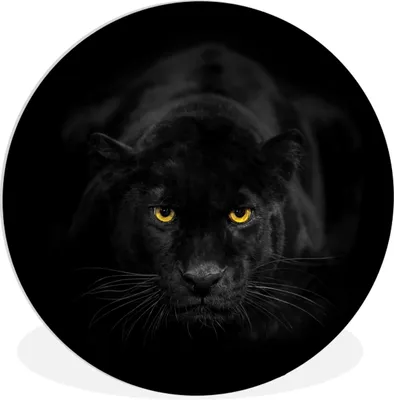 Produktbild von MuchoWow® Rundes Wandbild - Runde Bilder Leopard - Augen - Schwarz Ø 30 cm Kreis Wanddekoration Kunststoff - Wandkreis - Wandschmuck - Schlafzimmer - Bilder - Der Kreis - Kunst für die Wohnung - Plastik - Kunstdruck - Wandbild