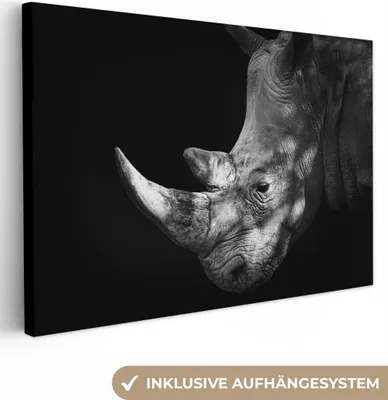 Produktbild von OneMillionCanvasses® - Leinwandbilder - 150x100 cm, Rhinozeros - Tier - Licht, Wandbilder Kunstdruck Wanddekoration