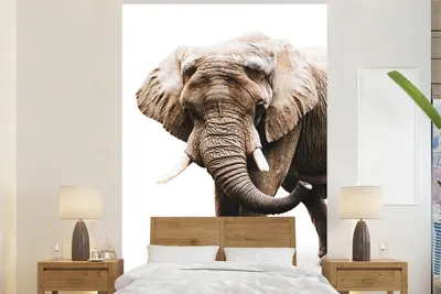 Produktbild von MuchoWow® Fototapete für Wohnzimmer oder Schlafzimmer Wandtapete Vinyl Motivtapete Elefant - Weiß - Tiere - 170x260 cm - Wohnzimmertapete