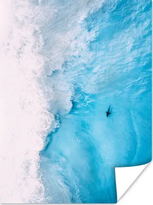 Produktbild von MuchoWow® Poster Tiere - Meer - Schaum 90x120 cm - Wohnzimmer