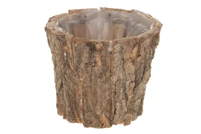Produktbild von Birkentopf natur I 10x10x8 cm I mit Folie I Übertopf Birke