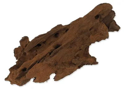 Produktbild von Repti Planet 007-59001, Fingerwurzeln, Holz, 1 Stück(e), 230 mm