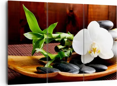 Produktbild von Bild auf Leinwand - Leinwandbild - Bambus Schönheit Dekoration Blume - 165x110cm - Wand Bild - Wanddeko - Leinwanddruck - Bilder - Kunstdruck - Leinwand bilder - Wandkunst - CE165x110-2166