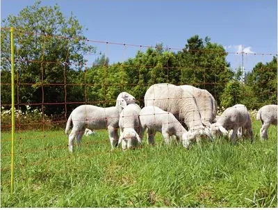 Produktbild von Corral Sheep net 90 cm, orange, double prong, yellow posts, 50m