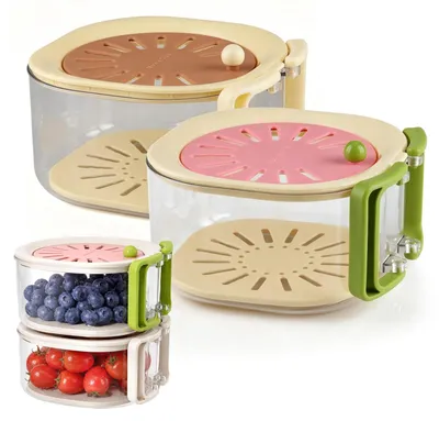 Obstwaschschale für Beeren und Gemüse, 2 Stück, 15 cm