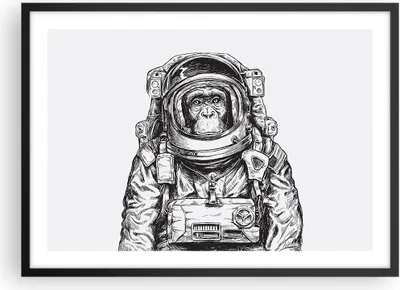 Produktbild von Gerahmtes Poster - Schwarzer Rahmen - Schimpanse Astronaut Zeichnung - 70x50 cm - Wand Bild - Wanddeko - Wandbilder - Wandposter - Bilderrahmen - Bilder - Kunstdruck - Wandbild - P2BAA70x50-4312