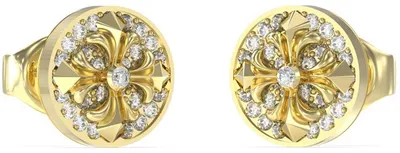 Produktbild von Ohrringen Ohrstecker Guess Gold Kollektion - mann