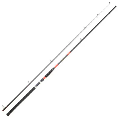 Produktbild von Daiwa Megaforce Big Fish Welsrute Silber 2.60 m / 80-180 g Silber 2.60 m