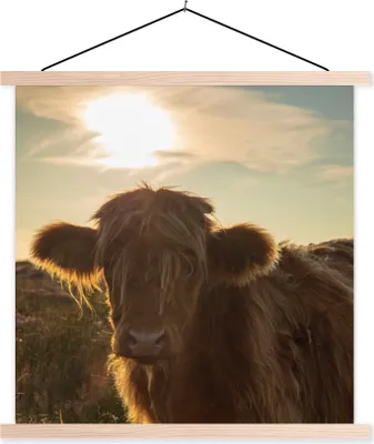 Produktbild von MuchoWow® Textilposter Schottisches Hochlandrind - Sonnenuntergang - Gras 120x120 cm mit holzfarbenen Rahmen - Textil-Poster