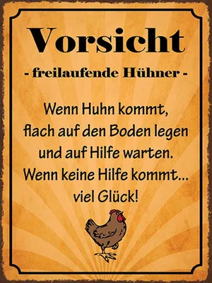 Produktbild von vianmo Holzschild 40x30 cm Vorsicht freilaufende Hühner