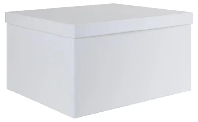 Obrázok produktu pre Veľká úložná nádoba s vekom, 38 x 28 x 19 cm