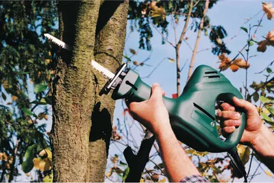 Obrázek produktu pro wolfcraft GmbH 2289000, Nůž pro ocasovou pilu, Měkké dřevo, Chrom-vanadová ocel (Cr-V), 21,8 cm, 8,5 mm, 19 cm