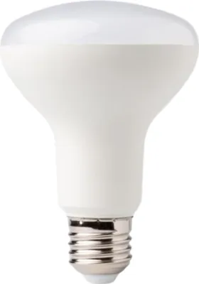 Zdjęcie produktu dla Żarówka Led E27 Eco Light 4000k 1080lm 12w Barwa Biała Neutralna Grzyb